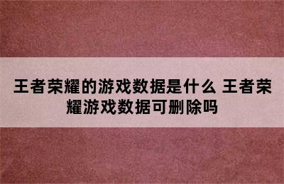 王者荣耀的游戏数据是什么 王者荣耀游戏数据可删除吗